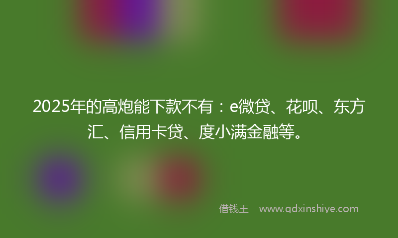 2025年的高炮能下款不有：e微贷、花呗、东方汇、信用卡贷、度小满金融等。