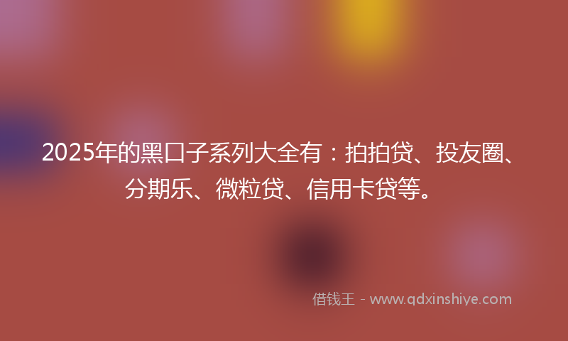 2025年的黑口子系列大全有：拍拍贷、投友圈、分期乐、微粒贷、信用卡贷等。