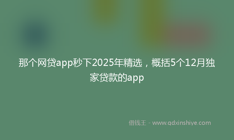 那个网贷app秒下2025年精选，概括5个12月独家贷款的app