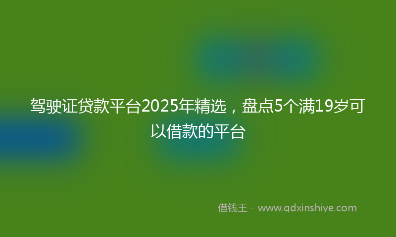 驾驶证贷款平台2025年精选，盘点5个满19岁可以借款的平台