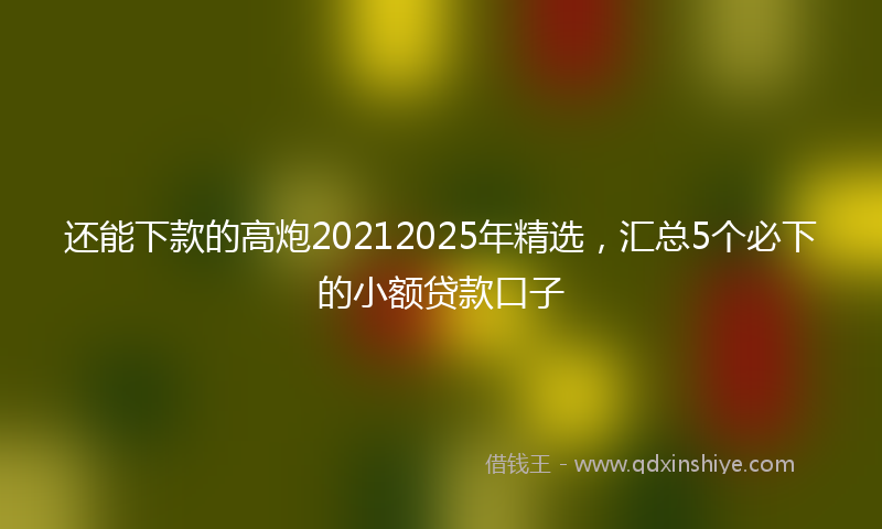 还能下款的高炮20212025年精选，汇总5个必下的小额贷款口子