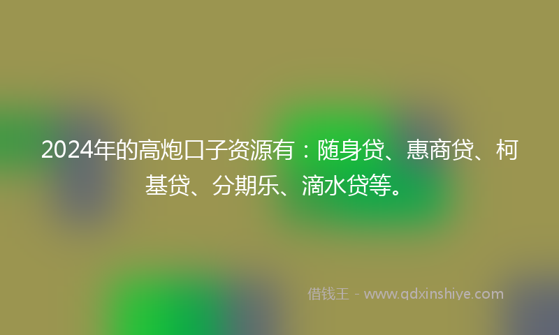 2024年的高炮口子资源有：随身贷、惠商贷、柯基贷、分期乐、滴水贷等。