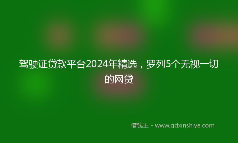 驾驶证贷款平台2024年精选，罗列5个无视一切的网贷