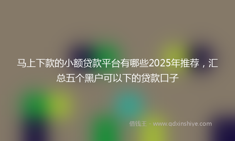 马上下款的小额贷款平台有哪些2025年推荐，汇总五个黑户可以下的贷款口子