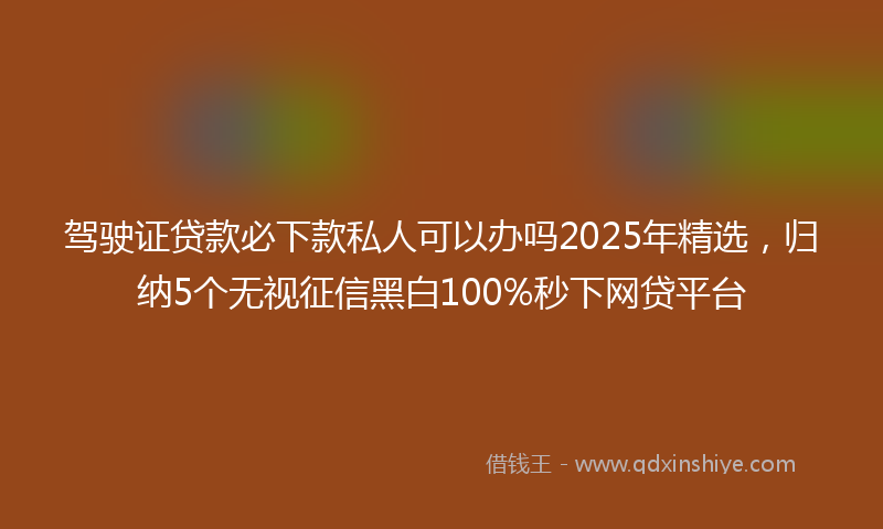 驾驶证贷款必下款私人可以办吗2025年精选，归纳5个无视征信黑白100%秒下网贷平台