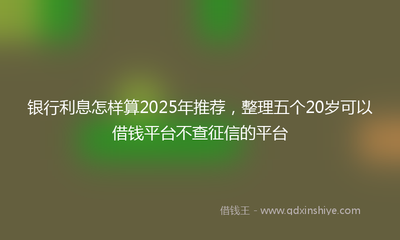 银行利息怎样算2025年推荐，整理五个20岁可以借钱平台不查征信的平台