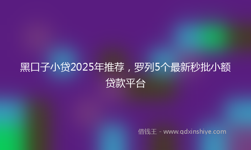 黑口子小贷2025年推荐，罗列5个最新秒批小额贷款平台
