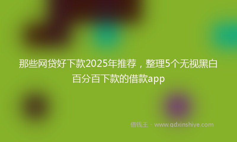 那些网贷好下款2025年推荐，整理5个无视黑白百分百下款的借款app
