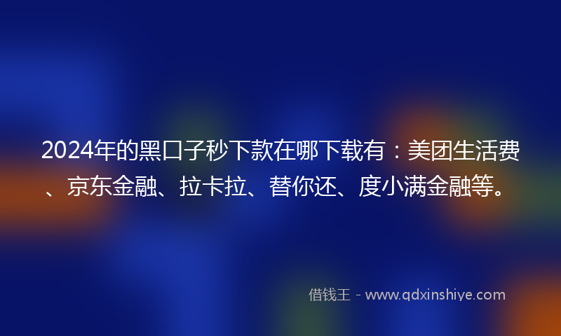 2024年的黑口子秒下款在哪下载有：美团生活费、京东金融、拉卡拉、替你还、度小满金融等。