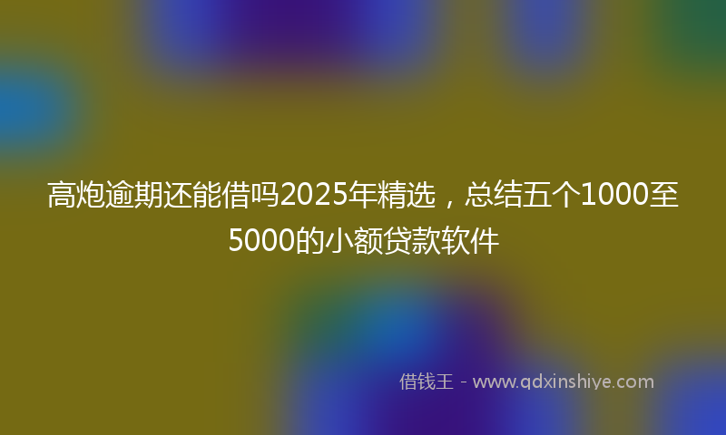 高炮逾期还能借吗2025年精选，总结五个1000至5000的小额贷款软件