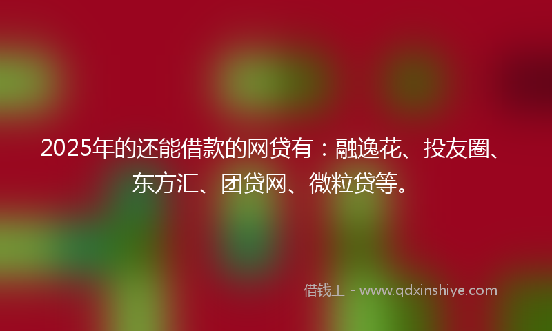 2025年的还能借款的网贷有：融逸花、投友圈、东方汇、团贷网、微粒贷等。