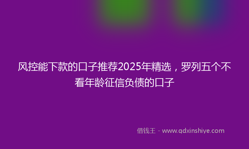 风控能下款的口子推荐2025年精选，罗列五个不看年龄征信负债的口子