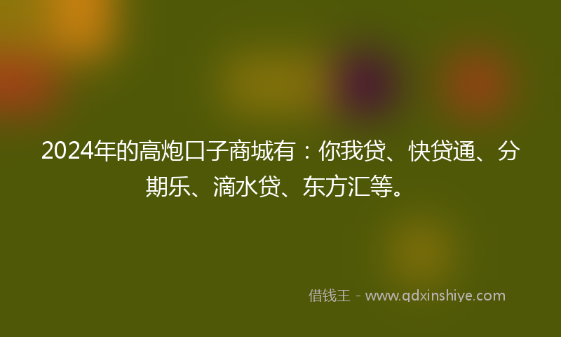 2024年的高炮口子商城有：你我贷、快贷通、分期乐、滴水贷、东方汇等。