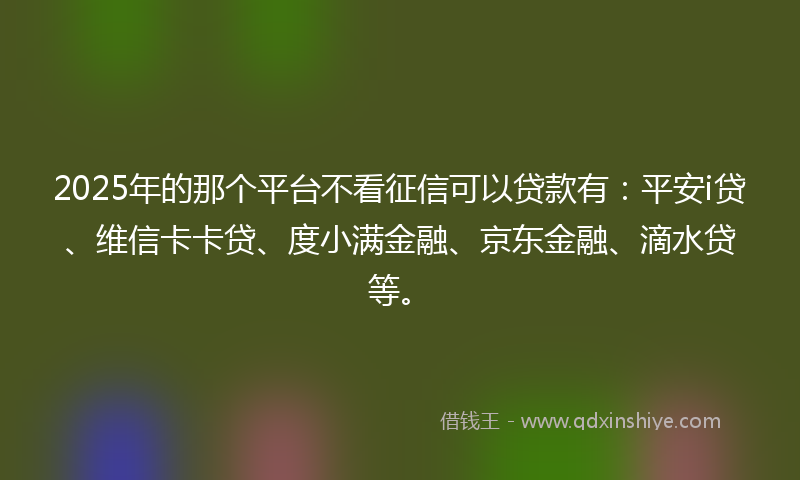 2025年的那个平台不看征信可以贷款有：平安i贷、维信卡卡贷、度小满金融、京东金融、滴水贷等。