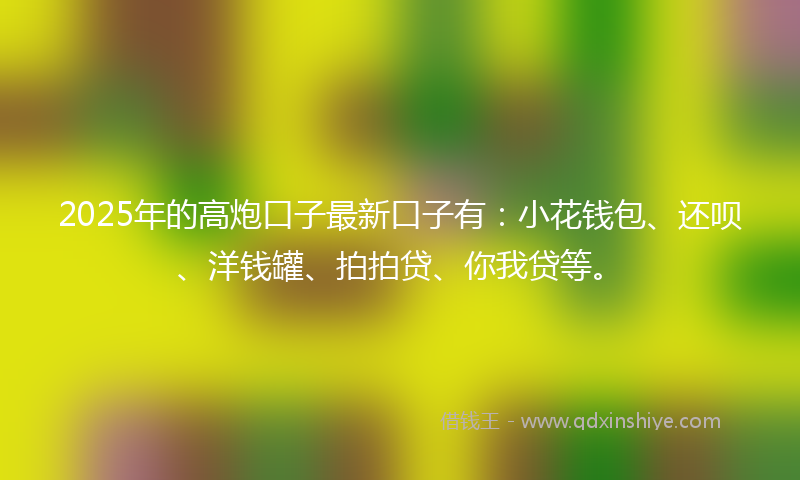 2025年的高炮口子最新口子有：小花钱包、还呗、洋钱罐、拍拍贷、你我贷等。