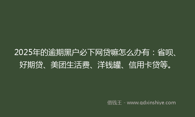 2025年的逾期黑户必下网贷嘛怎么办有：省呗、好期贷、美团生活费、洋钱罐、信用卡贷等。
