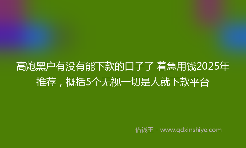 高炮黑户有没有能下款的口子了 着急用钱2025年推荐，概括5个无视一切是人就下款平台
