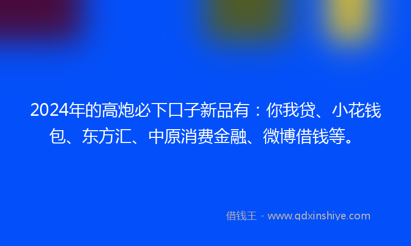 2024年的高炮必下口子新品有：你我贷、小花钱包、东方汇、中原消费金融、微博借钱等。