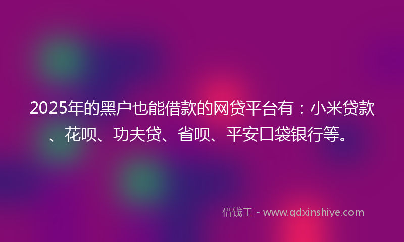 2025年的黑户也能借款的网贷平台有：小米贷款、花呗、功夫贷、省呗、平安口袋银行等。