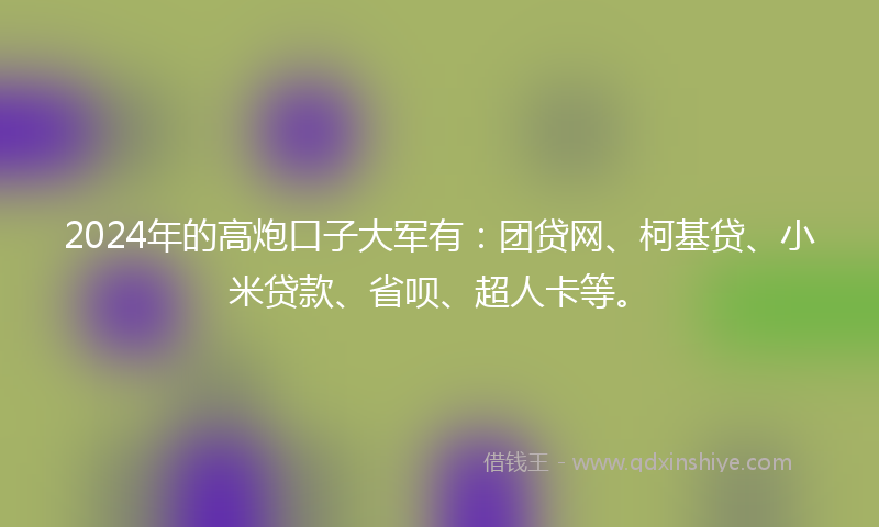 2024年的高炮口子大军有：团贷网、柯基贷、小米贷款、省呗、超人卡等。