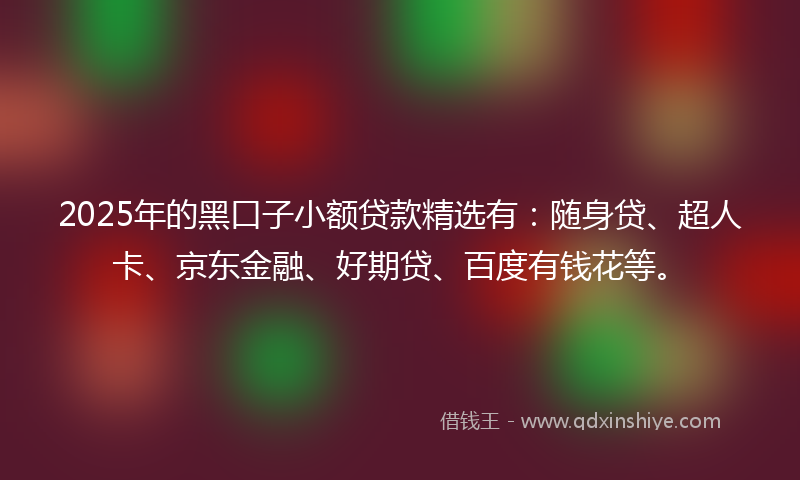 2025年的黑口子小额贷款精选有：随身贷、超人卡、京东金融、好期贷、百度有钱花等。