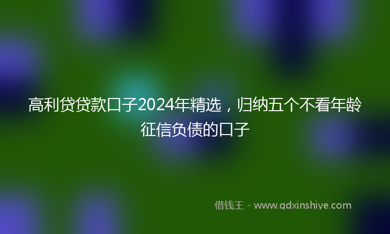 高利贷贷款口子2024年精选，归纳五个不看年龄征信负债的口子