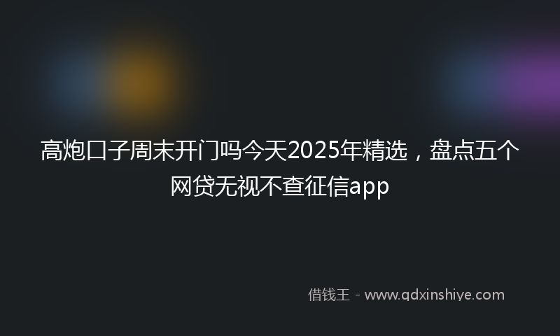 高炮口子周末开门吗今天2025年精选，盘点五个网贷无视不查征信app