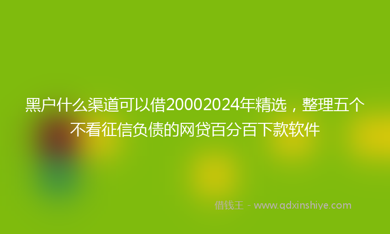 黑户什么渠道可以借20002024年精选，整理五个不看征信负债的网贷百分百下款软件