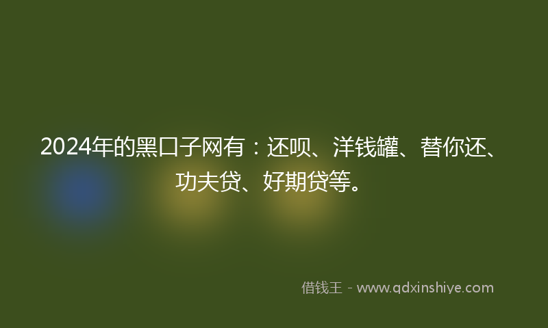 2024年的黑口子网有：还呗、洋钱罐、替你还、功夫贷、好期贷等。