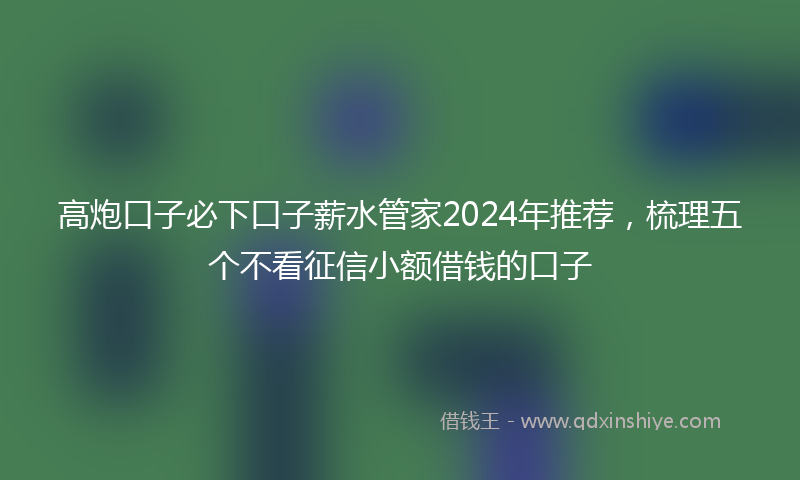 高炮口子必下口子薪水管家2024年推荐，梳理五个不看征信小额借钱的口子