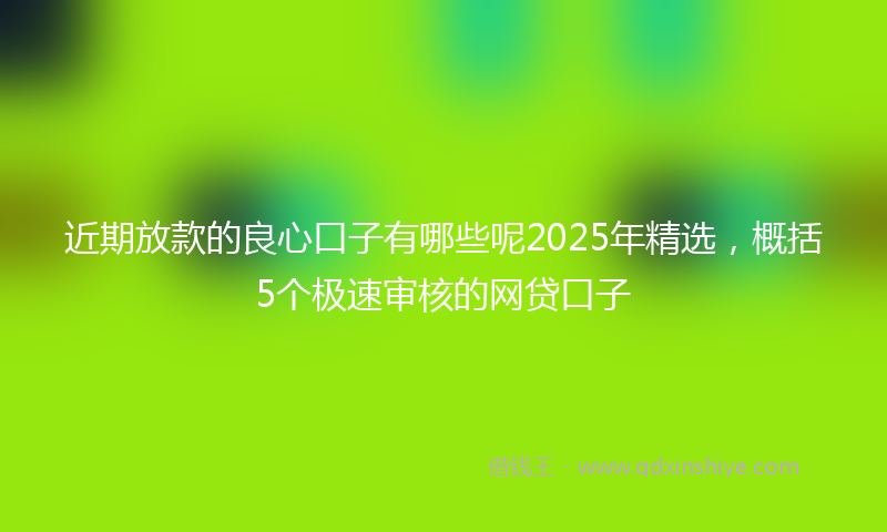 近期放款的良心口子有哪些呢2025年精选，概括5个极速审核的网贷口子
