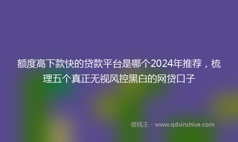 额度高下款快的贷款平台是哪个2024年推荐，梳理五个真正无视风控黑白的网贷口子