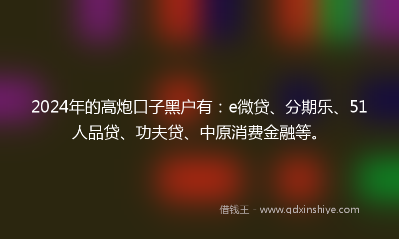 2024年的高炮口子黑户有：e微贷、分期乐、51人品贷、功夫贷、中原消费金融等。