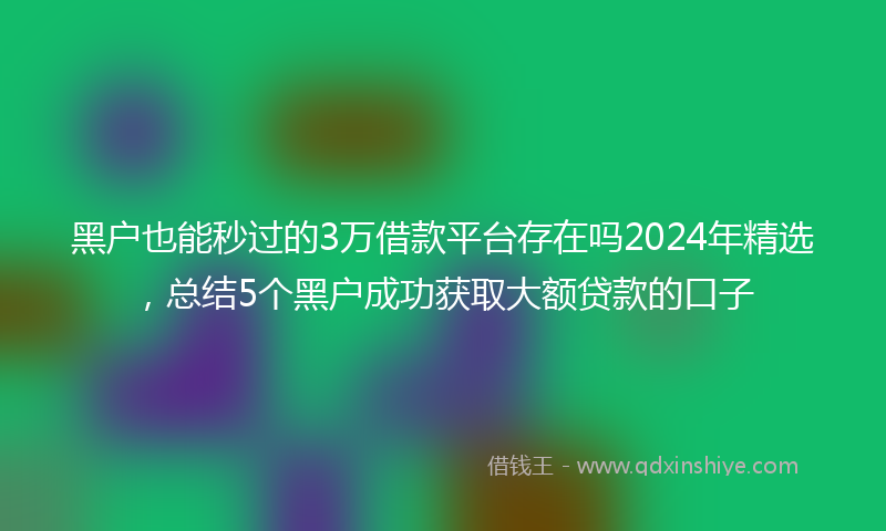 黑户也能秒过的3万借款平台存在吗2024年精选，总结5个黑户成功获取大额贷款的口子