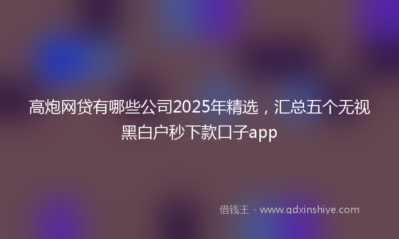 高炮网贷有哪些公司2025年精选，汇总五个无视黑白户秒下款口子app