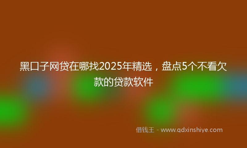 黑口子网贷在哪找2025年精选，盘点5个不看欠款的贷款软件