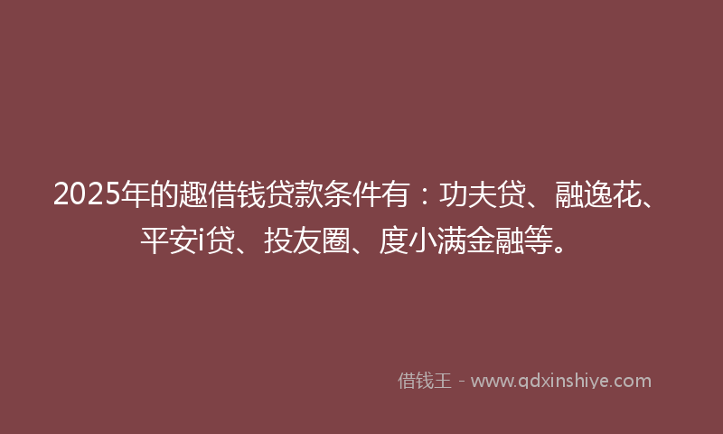 2025年的趣借钱贷款条件有：功夫贷、融逸花、平安i贷、投友圈、度小满金融等。