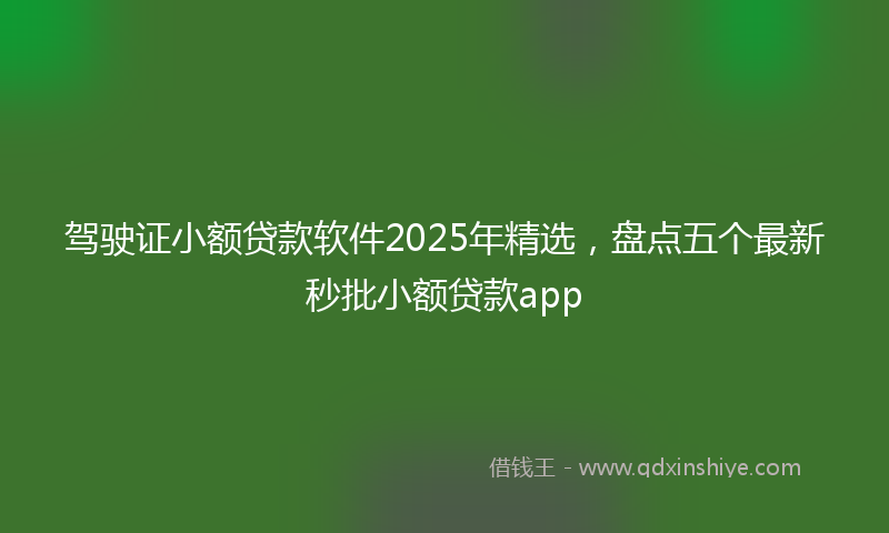 驾驶证小额贷款软件2025年精选，盘点五个最新秒批小额贷款app