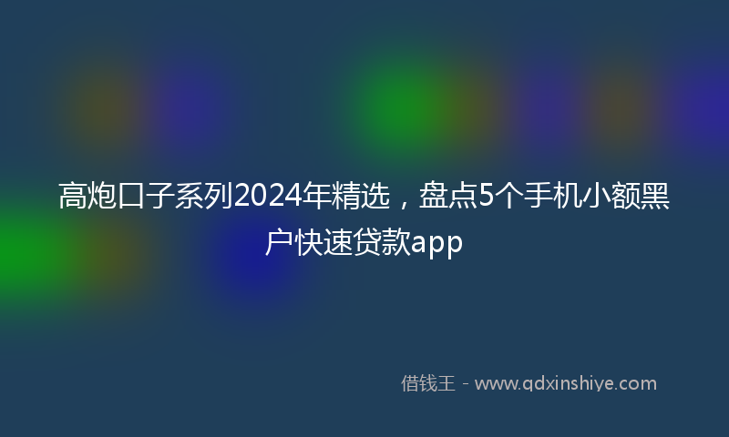 高炮口子系列2024年精选，盘点5个手机小额黑户快速贷款app