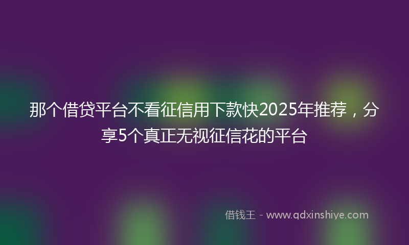 那个借贷平台不看征信用下款快2025年推荐，分享5个真正无视征信花的平台