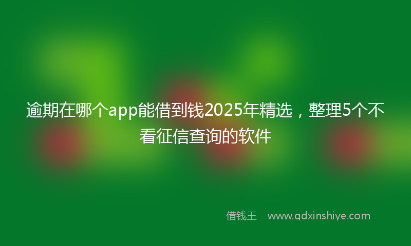 逾期在哪个app能借到钱2025年精选，整理5个不看征信查询的软件