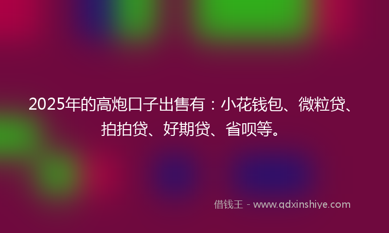 2025年的高炮口子出售有：小花钱包、微粒贷、拍拍贷、好期贷、省呗等。