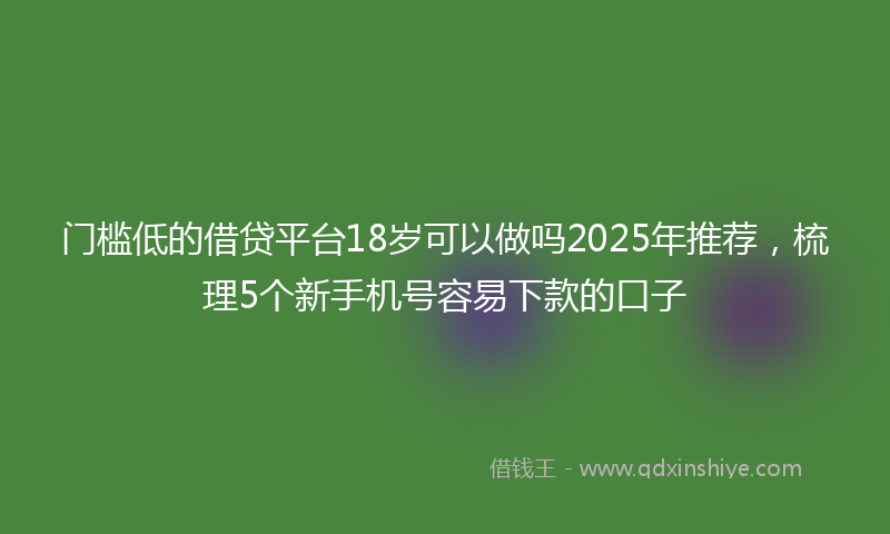 门槛低的借贷平台18岁可以做吗2025年推荐，梳理5个新手机号容易下款的口子