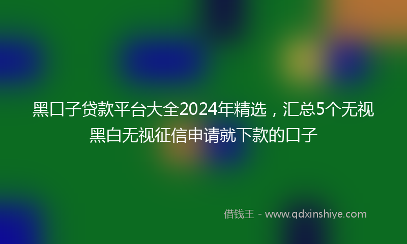黑口子贷款平台大全2024年精选，汇总5个无视黑白无视征信申请就下款的口子