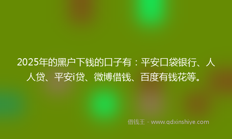 2025年的黑户下钱的口子有：平安口袋银行、人人贷、平安i贷、微博借钱、百度有钱花等。