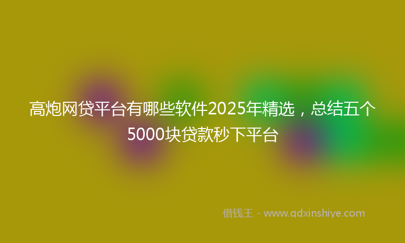 高炮网贷平台有哪些软件2025年精选，总结五个5000块贷款秒下平台
