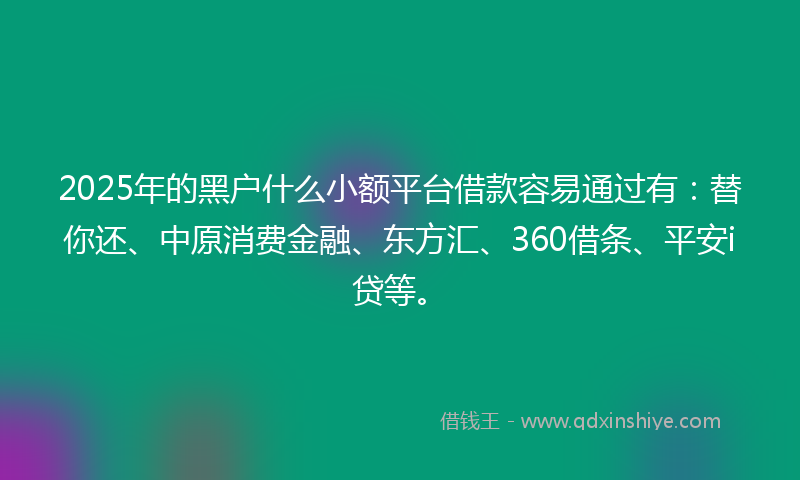 2025年的黑户什么小额平台借款容易通过有：替你还、中原消费金融、东方汇、360借条、平安i贷等。