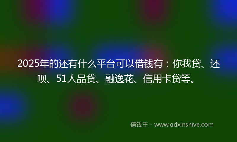 2025年的还有什么平台可以借钱有：你我贷、还呗、51人品贷、融逸花、信用卡贷等。