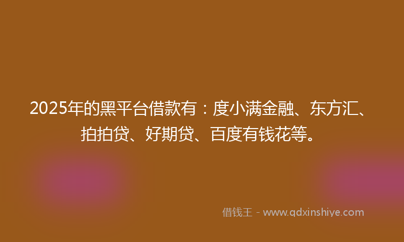 2025年的黑平台借款有：度小满金融、东方汇、拍拍贷、好期贷、百度有钱花等。