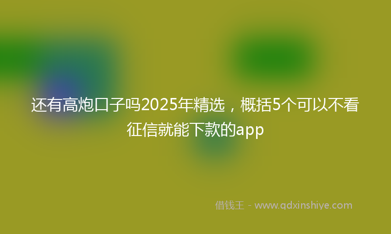 还有高炮口子吗2025年精选，概括5个可以不看征信就能下款的app